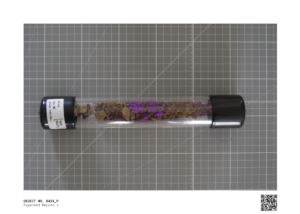0431_P – Sample Tube